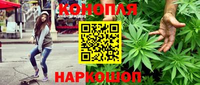 гашик Кунгур