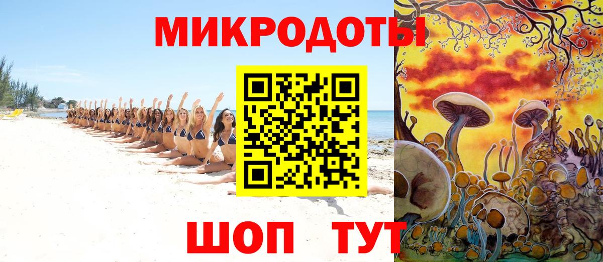 Псилоцибиновые грибы мицелий Зерноград